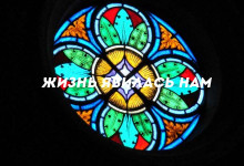 Жизнь явилась нам'