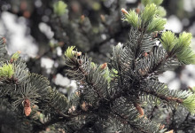 ВЕРЬ БОЖЬИМ СЛОВАМ, ОНИ ИСПОЛНЯТСЯ В СВОЕ ВРЕМЯ'