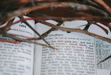 ЗАМЕСТИТЕЛЬНАЯ ЖЕРТВА ХРИСТА'