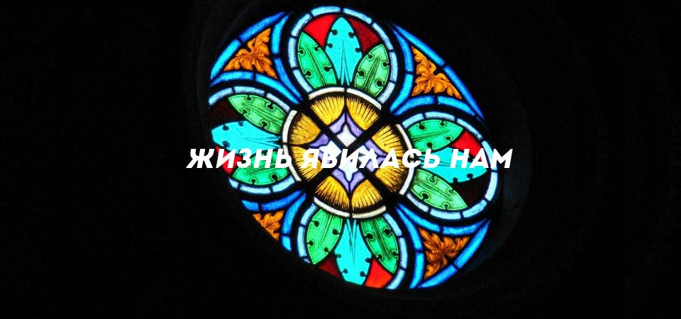 Жизнь явилась нам'