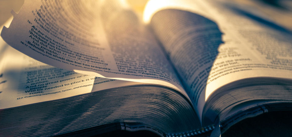 РАЗМЫШЛЕНИЯ НАД ПИСАНИЕМ'