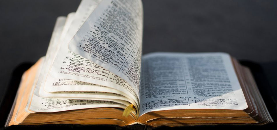 ЧТО ДОЛЖНО БЫТЬ ЦЕЛЬЮ ПОСТА?'