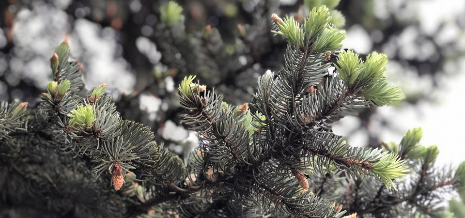 ВЕРЬ БОЖЬИМ СЛОВАМ, ОНИ ИСПОЛНЯТСЯ В СВОЕ ВРЕМЯ'