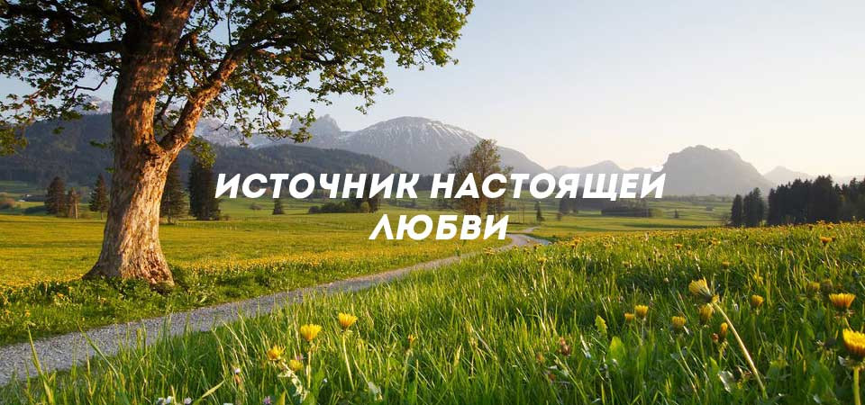 Источник настоящей любви'